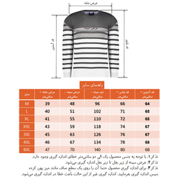 پلیور مردانه تریکو پاییزان مدل H700 یقه گرد رنگ طوسی
