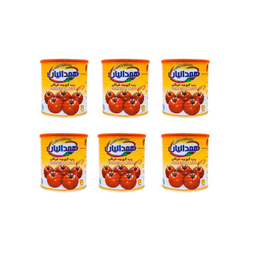 رب گوجه فرنگی همدانیان وزن 800 گرم بسته 6 عددی
