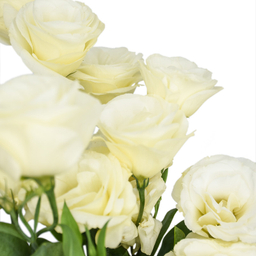 دسته گل لیسیانتوس نباتی هیمان کد 1064