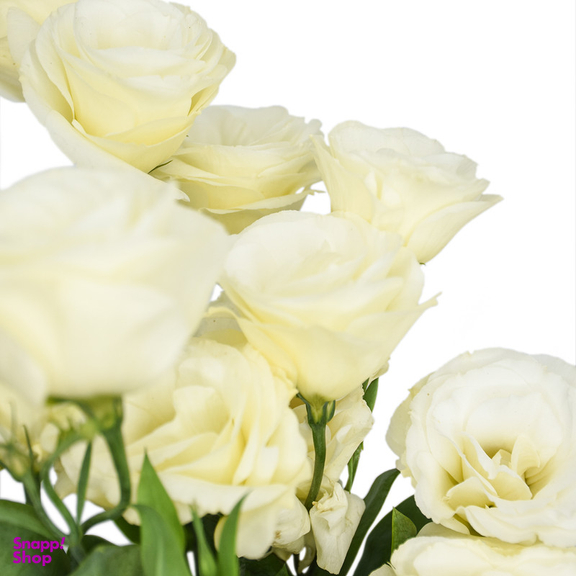 دسته گل لیسیانتوس نباتی هیمان کد 1064