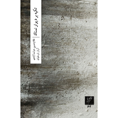 کتاب تکیه بر دیوار نمناک اثر غلام حسین دولت آبادی و آراز بارسقیان نشر وزان