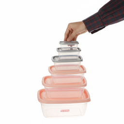 ظروف نگهدارنده نورینو مدل ارکیده مجموعه 6 عددی