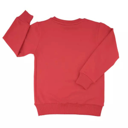 سویشرت پسرانه مادر مدل داینی