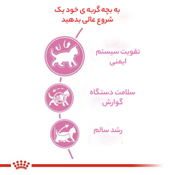 غذای خشک گربه رویال کنین مدل بالغ عقیم شده وزن 2 کیلوگرم