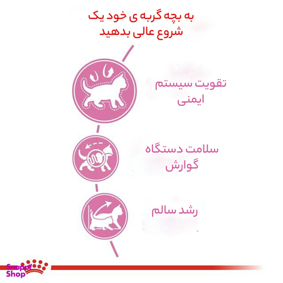 غذای خشک گربه رویال کنین مدل بالغ عقیم شده وزن 2 کیلوگرم