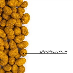 مغز بادام زمینی روکش دار کاری بارجیل