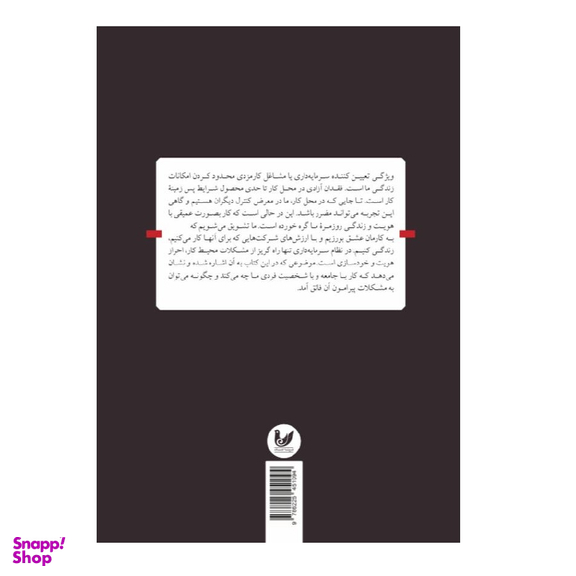 کتاب غرق در کار اثر ریچارد چورلی نشر اندیشه احسان