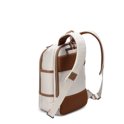 کوله پشتی سفری دلسی مدل CHATELET AIR 2.0