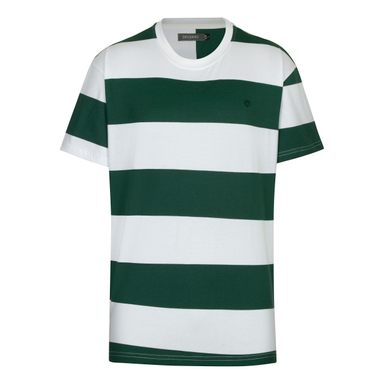 تیشرت مردانه دیورسو مدل رینگر رنگ سبز