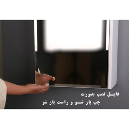 آینه دلفین مدل 10102