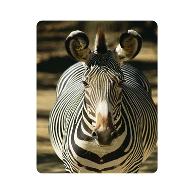 ماوس پد اطلس آبی طرح حیوان گورخر  مدل T7269