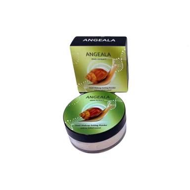 پودر فیکس آنجلا مدل حلزون شماره 01