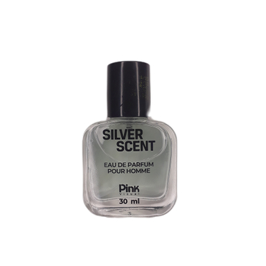 عطر جیبی مردانه پینک ویژوآل مدل Silver Scent