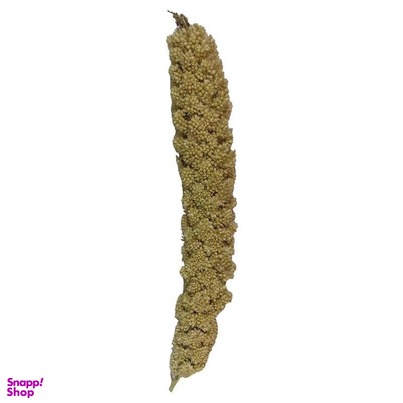 غذای پرنده مدل ارزن خوشه ای کد 69 بسته 1000 گرمی