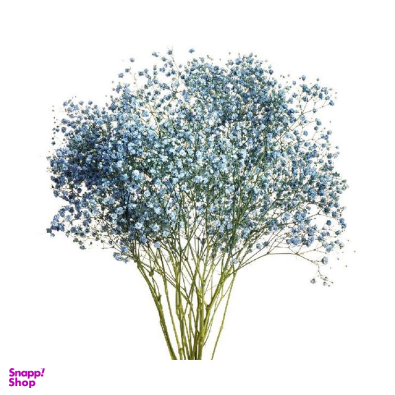 دسته گل طبیعی ژیپسوفیلا کوچک رنگ آبی