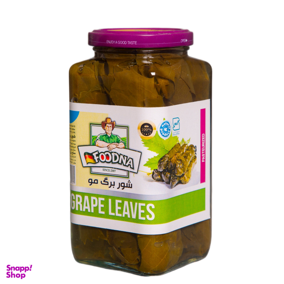 شور برگ مو فودنا وزن 630 گرم