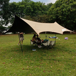 سايه بان ديرک دار مدل BLACK DEER کد BD4030