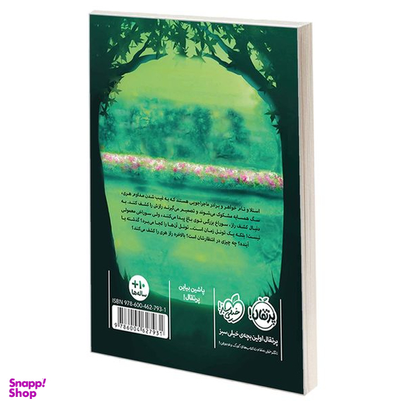 کتاب دریاچه ی مخفی اثر کارن اینگلیس انتشارات  پرتقال