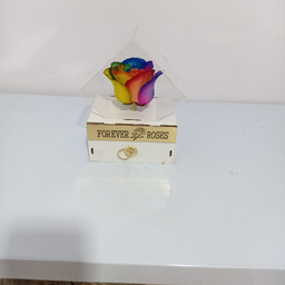 گل خشک رز جاودان کد 504