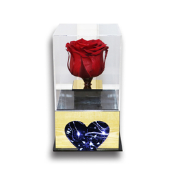 تندیس تمام پلکسی گل رز جاودان قرمز مدل LED دار