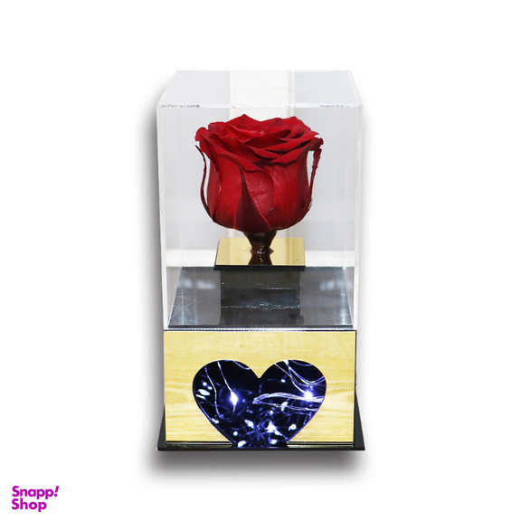 تندیس تمام پلکسی گل رز جاودان قرمز مدل LED دار