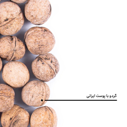 گردو ایرانی با پوست بارجیل