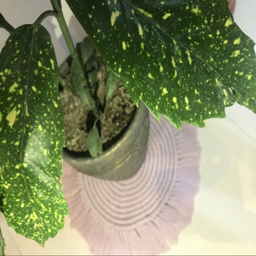 رومیزی بافتنی مکرومه آناهیتا پلاس کد 005