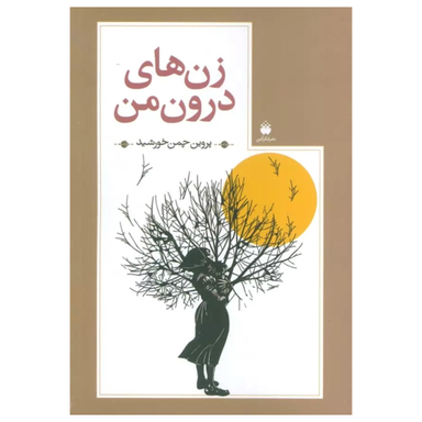 کتاب زن های درون من اثر پروین چمن خورشید نشر فکر آذین