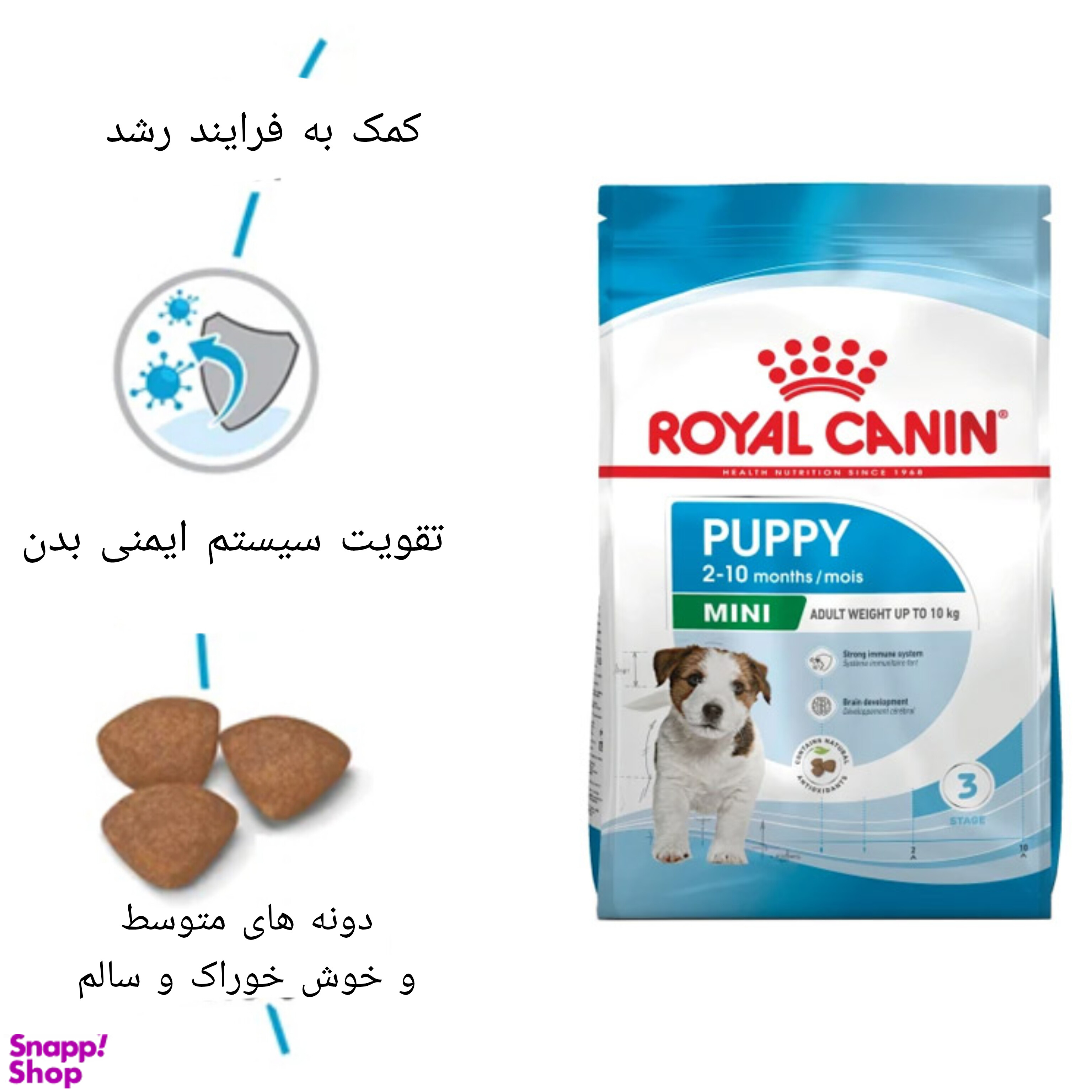 غذا خشک توله سگ رویال کنین مدل مینی پاپی وزن 2 کیلوگرم