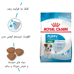 غذا خشک توله سگ رویال کنین مدل مینی پاپی وزن 2 کیلوگرم