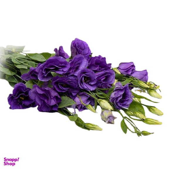 دسته گل لیسیانتوس بنفش