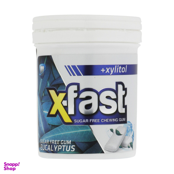 آدامس بدون شکر با طعم اکالیپتوس  ایکس فست - 50 گرم