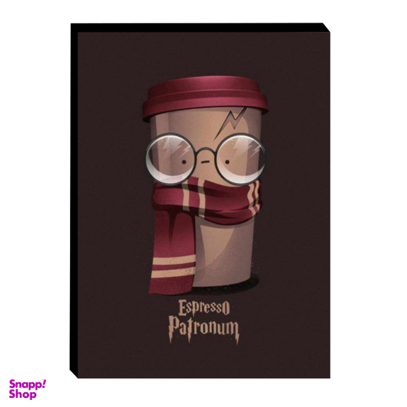 تابلو شاسی طرح هری پاتر کد 41