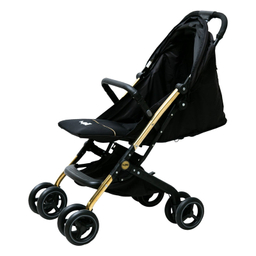 کالسکه مسافرتی دلیجان مدل مینی پرو