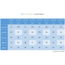 ست سویشرت و شلوار پسرانه نیروان مدل 2048 -3
