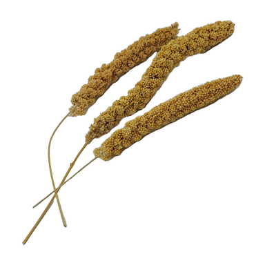 غذا تشویقی پرنده مدل ارزن خوشه ای مناسب طوطی بسته 5 عددی