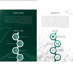 دهان شویه دنتیلایت مدل پست بیوتیک حجم 500 میلی لیتر