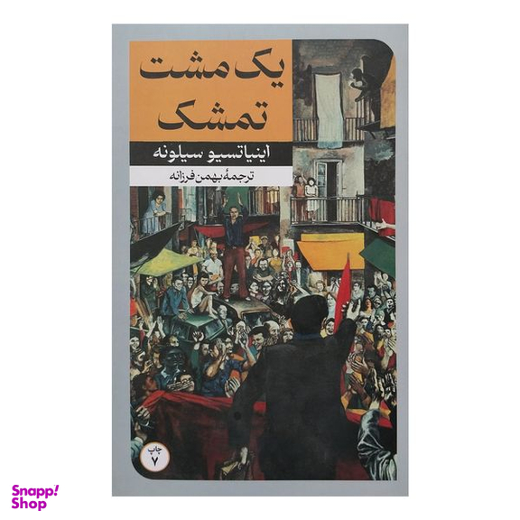 کتاب  يك مشت تمشك اثر اينيا تسيو سيلونه نشر امير كبير
