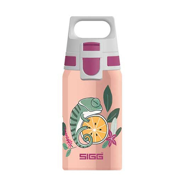 قمقمه سیگ سری SIGG Water Bottle مدل Shield One طرح Flora 9000.90 حجم 500 میلی لیتر