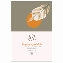 کتاب رنگ آمیزی مینیمال اثر رضا باباخانلو انتشارات آوند دانش