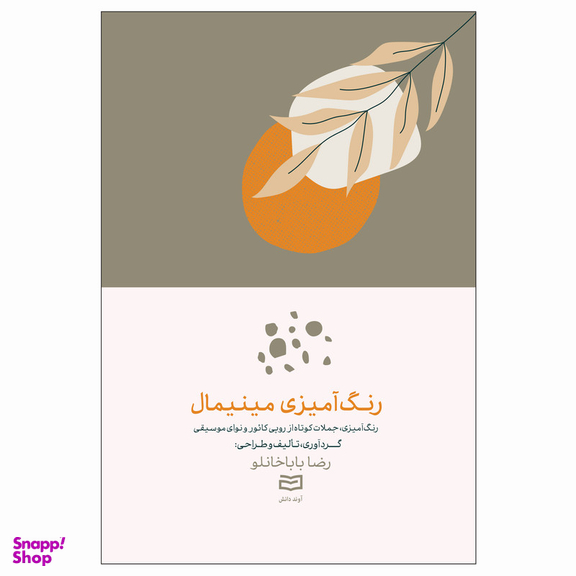 کتاب رنگ آمیزی مینیمال اثر رضا باباخانلو انتشارات آوند دانش
