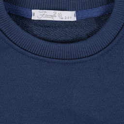 سویشرت پسرانه فیورلا مدل پاییزی کد 35585