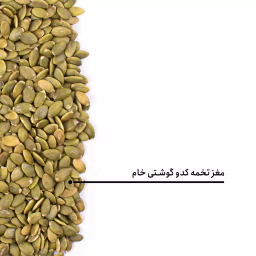 مغز تخمه کدو گوشتی خام بارجیل