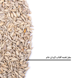 مغز تخمه آفتابگردان خام بارجیل