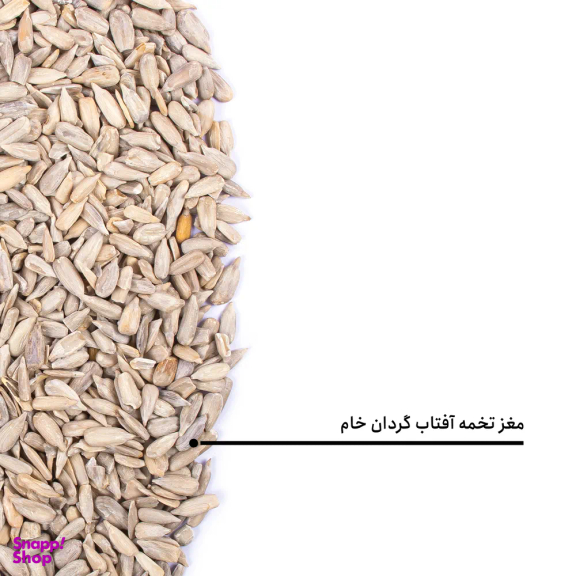 مغز تخمه آفتابگردان خام بارجیل