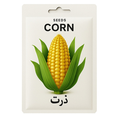 بذر ذرت شیرین پردانه اروپایی کد 1008