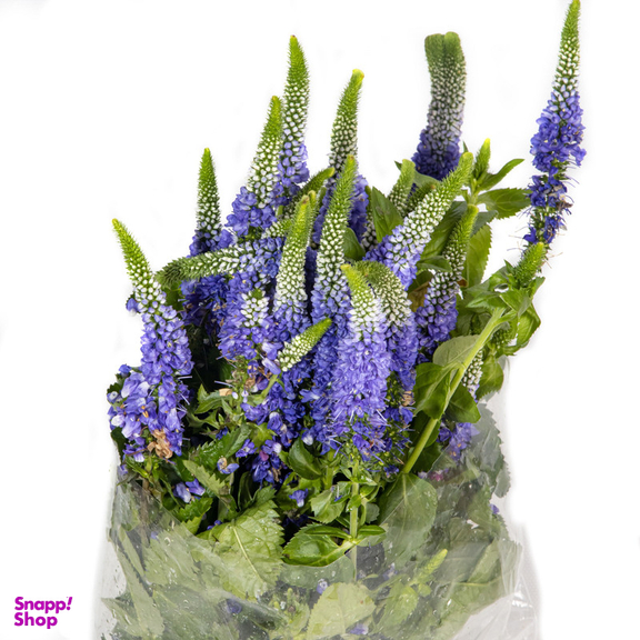 دسته گل طبیعی ورونیکا بنفش هیمان کد 1111