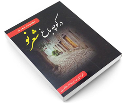 کتاب در کوچه باغ شعر نو اثر پروانه طاهری نشر داریوش