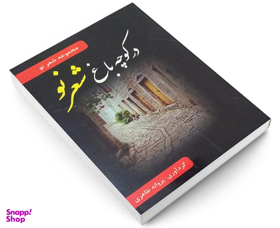 کتاب در کوچه باغ شعر نو اثر پروانه طاهری نشر داریوش