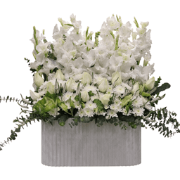 باکس گل طبیعی کد 001 رنگ سفید